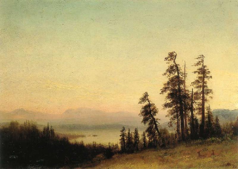 Albert Bierstadt Landscape with Deer Germany oil painting art